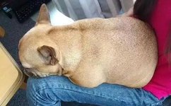 无人区在线观看1080